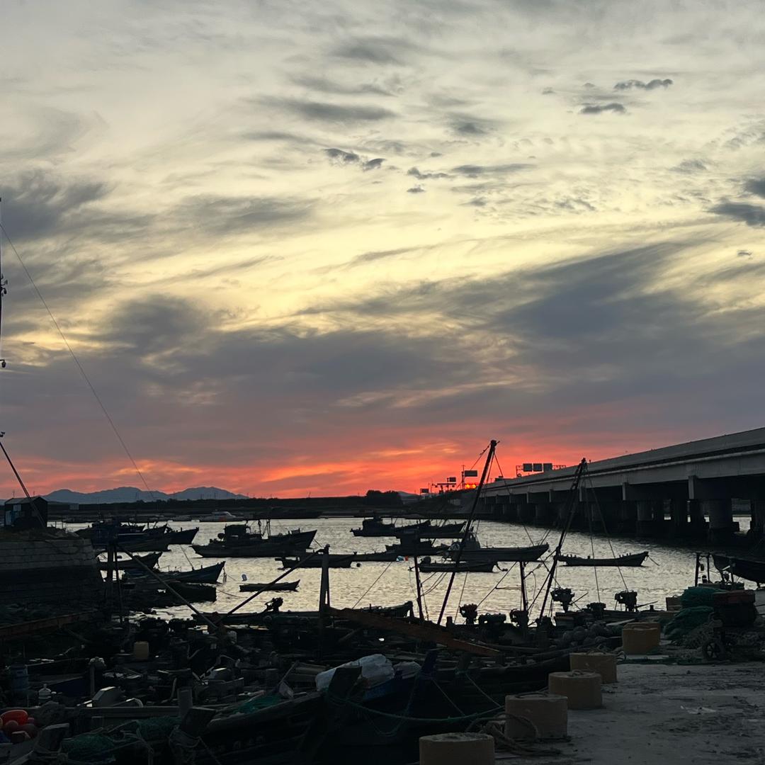 鱼从四面八方来🫥