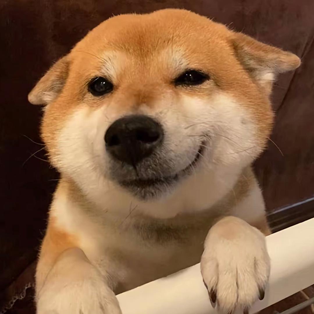 嘎巴鼠这