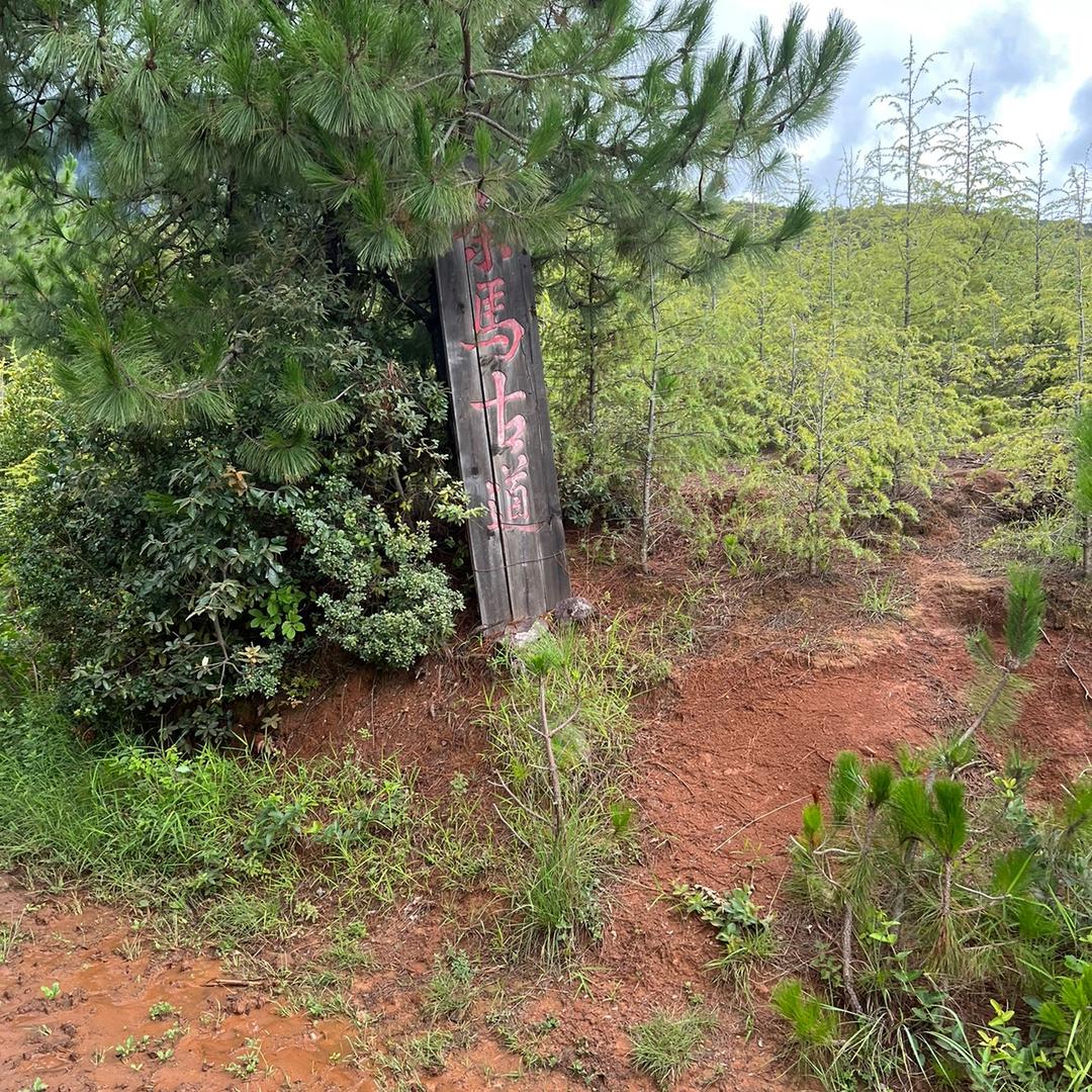 雨的印记