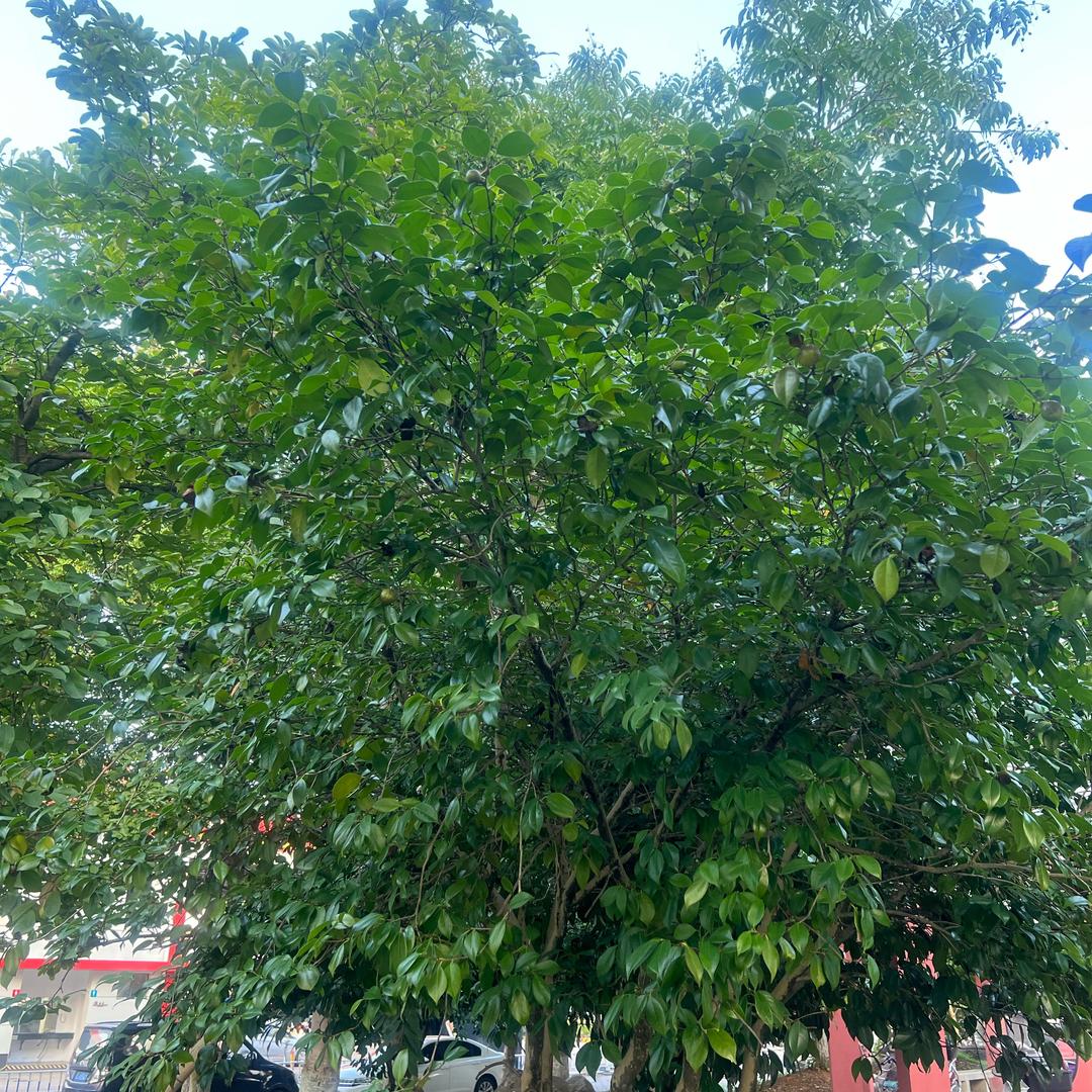 乘风破浪（互粉）