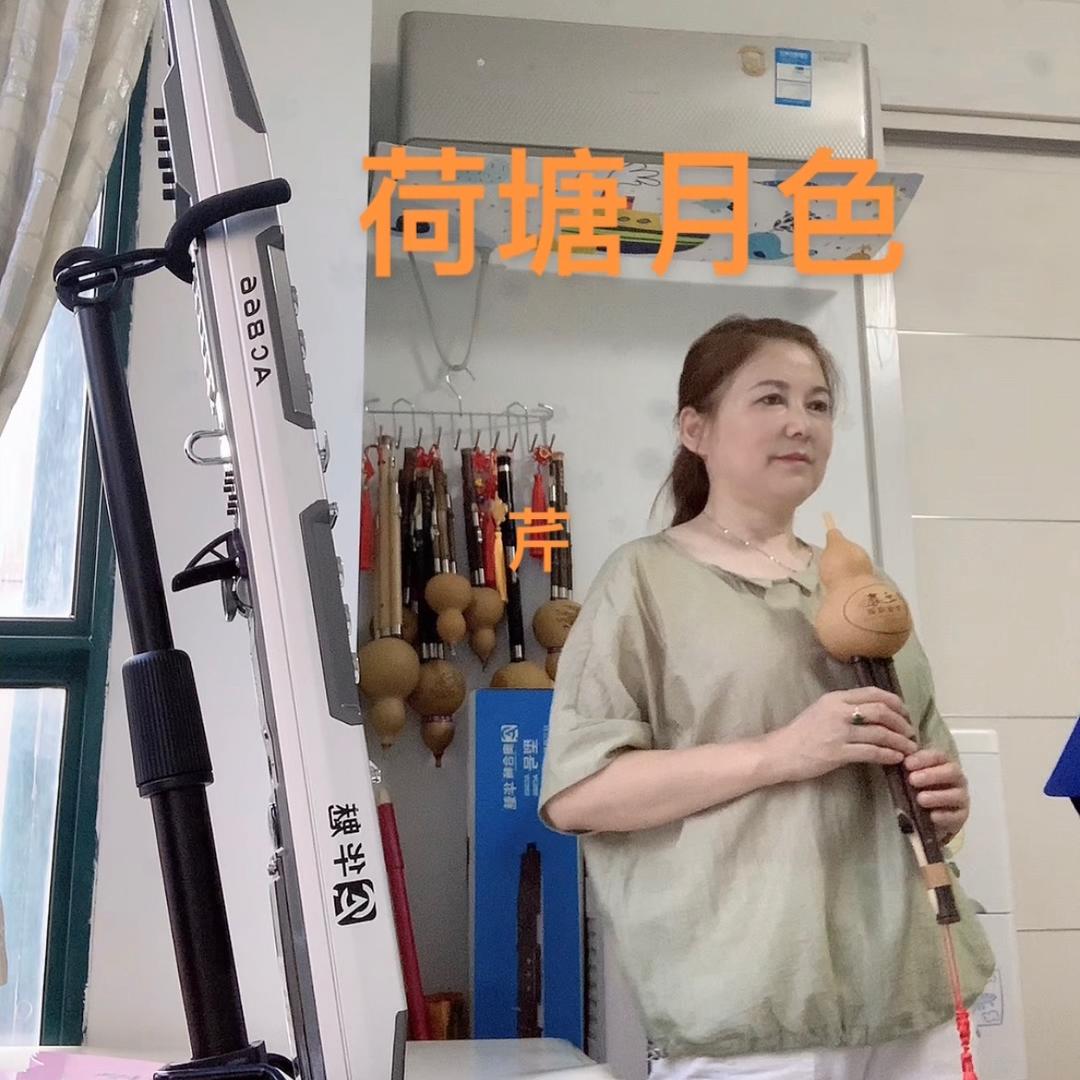 盈盈一笑（业余乐器爱好者）