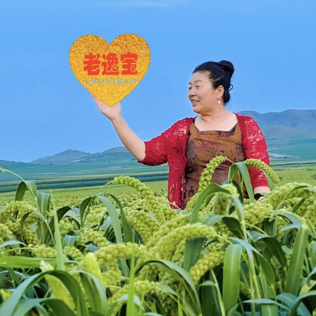 老逸宝