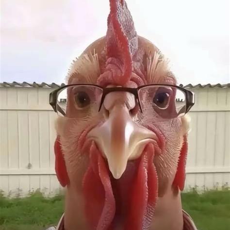 .。