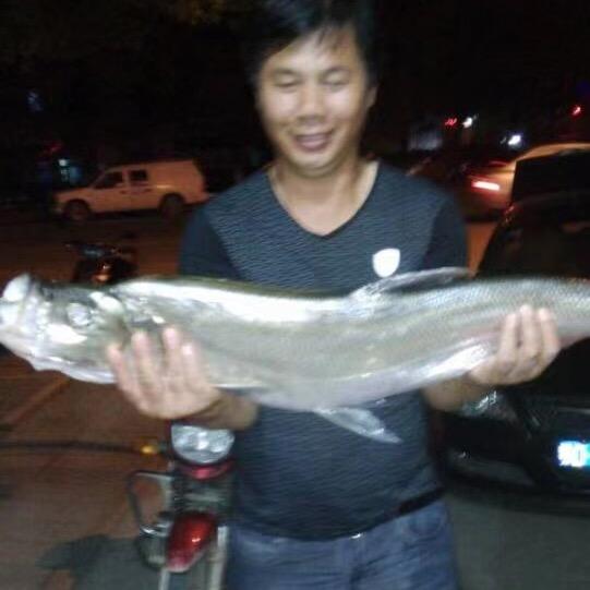 渔哥🎣爱钓鱼