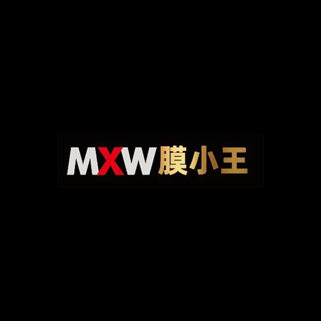 电小王隐形车衣