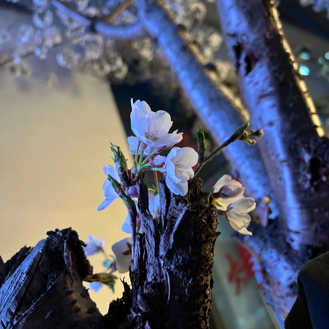 往后余生快乐就好🧚‍♀️