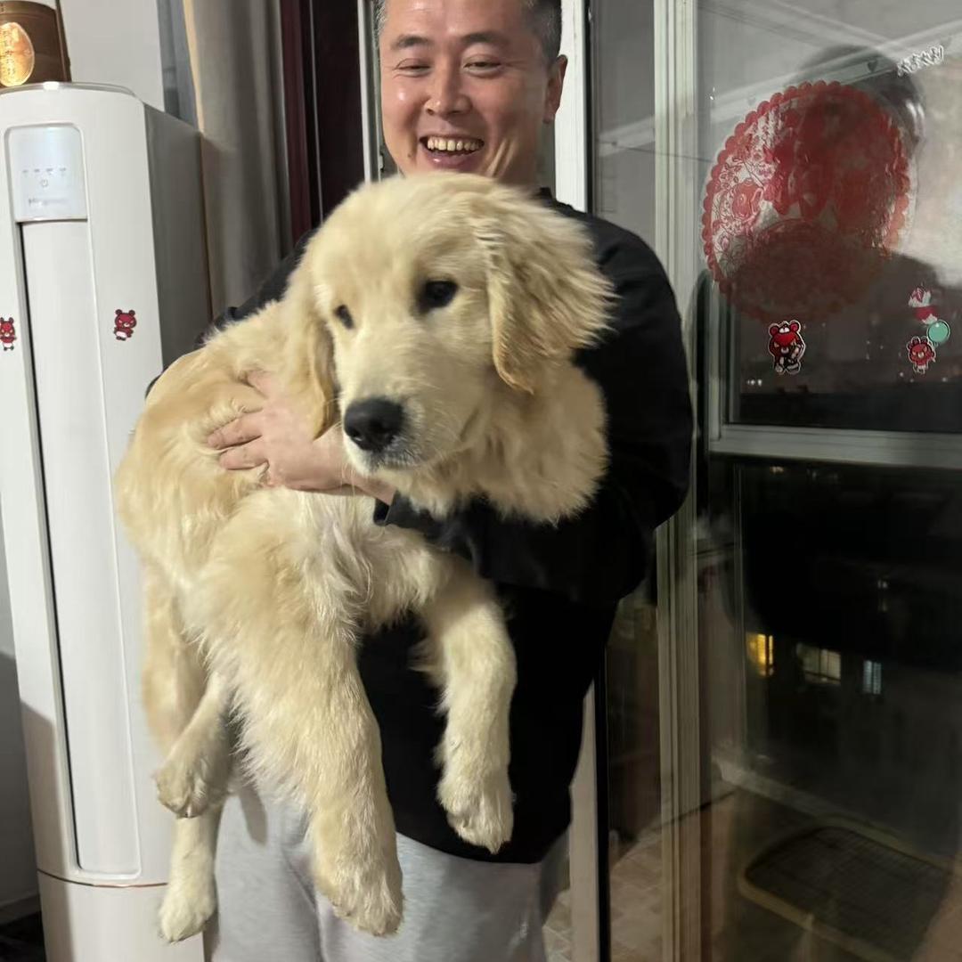 海涛自制