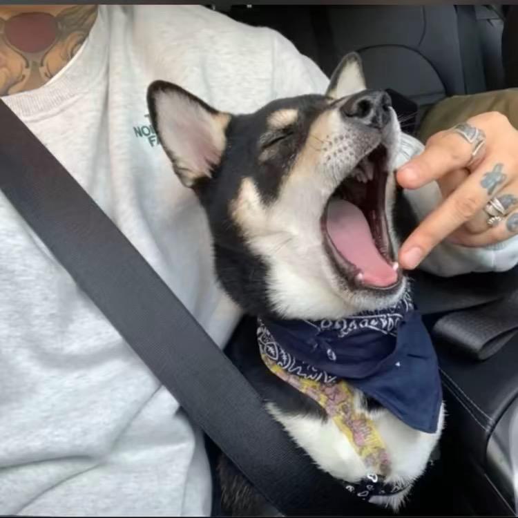 痞成.