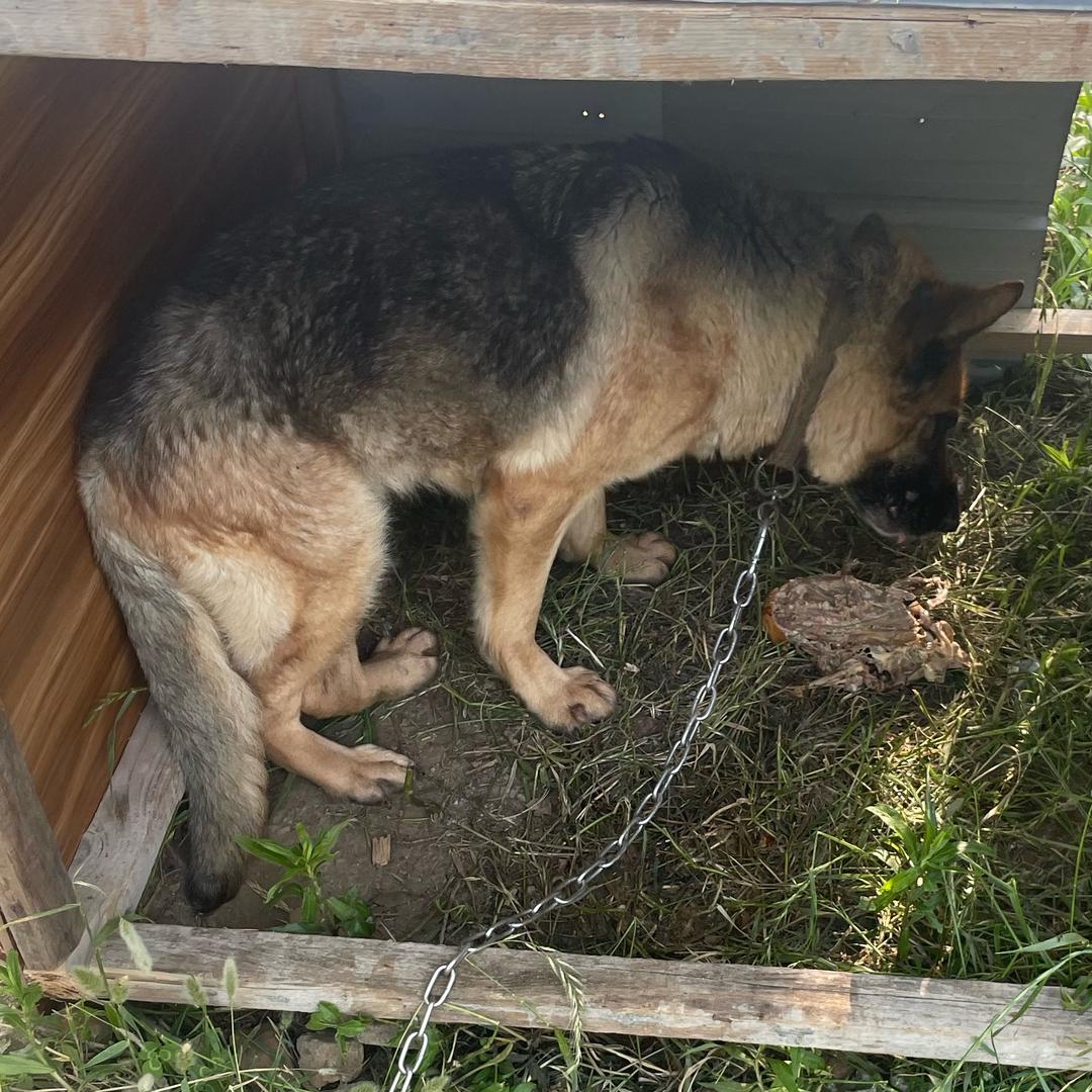 二海旺旺养殖基地、