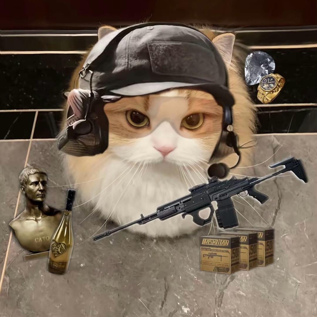 三角洲摸红圣体（三合一跑刀）