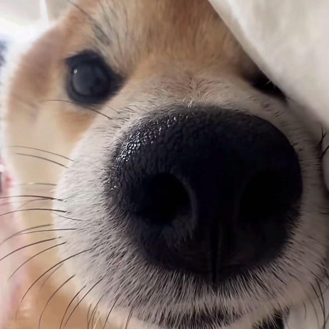 ￴ ￴   ￴ ￴ ￴￴ ￴