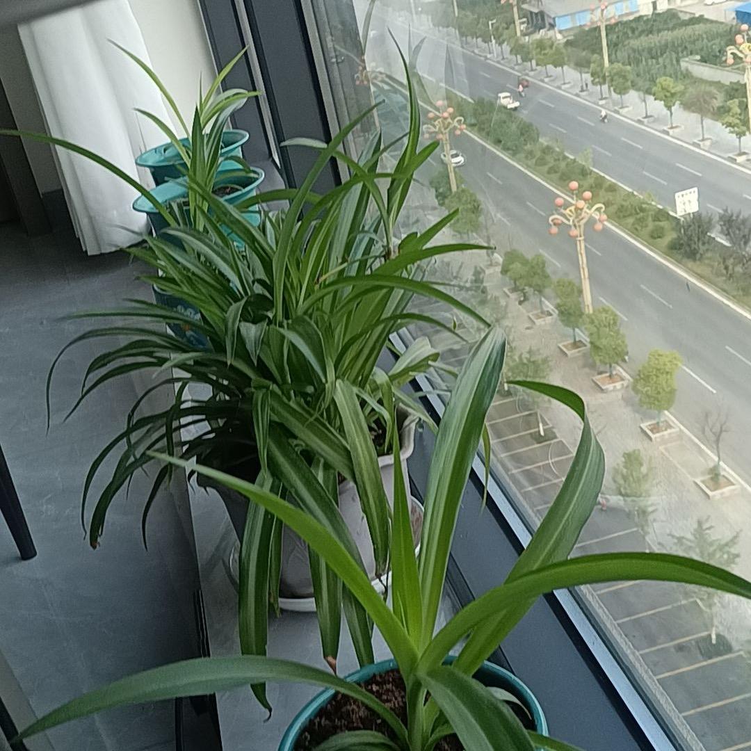 可能是你认识的人
