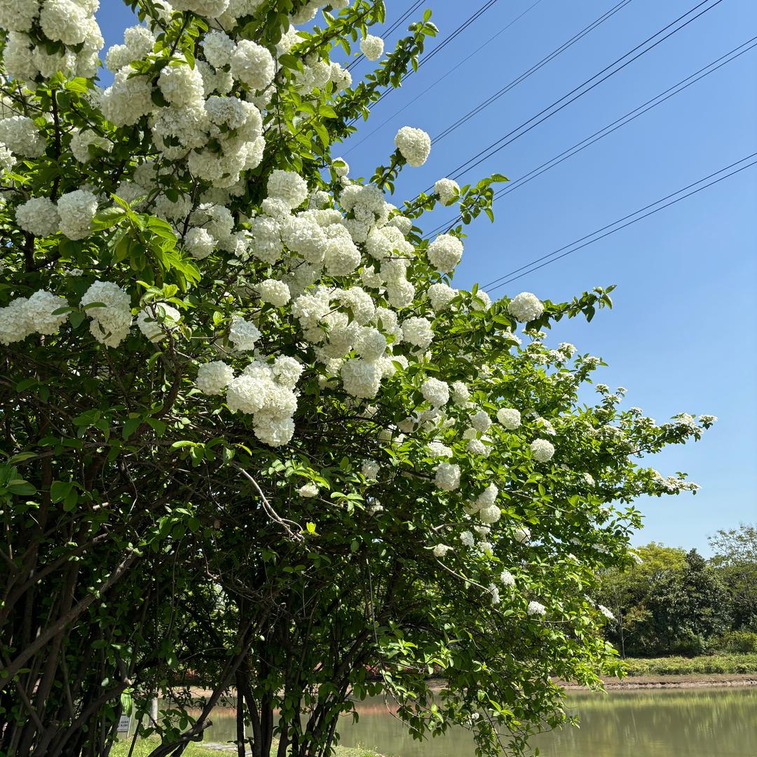 井釉服饰临平展厅店冰冰