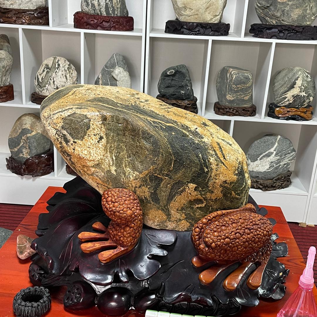 泰山刘磊