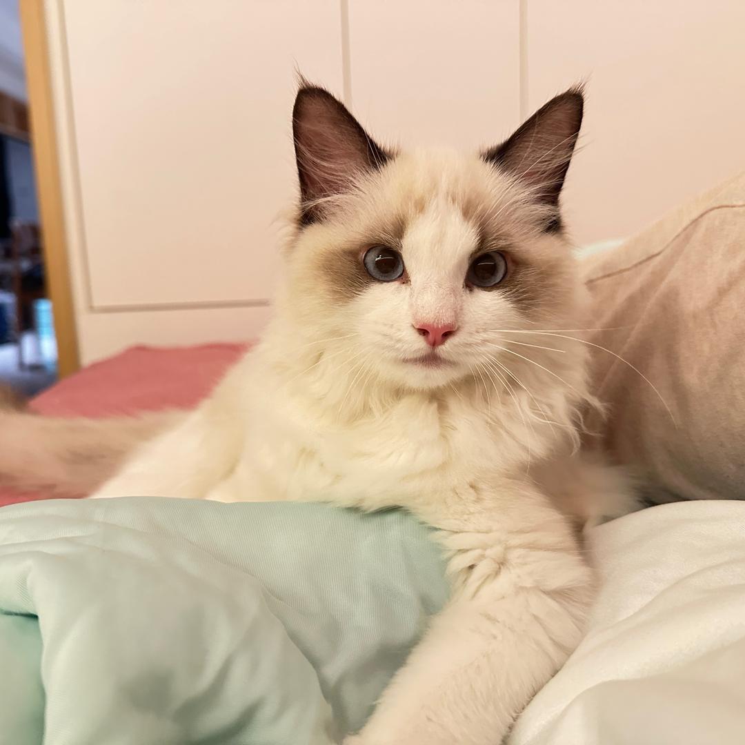 97追剧