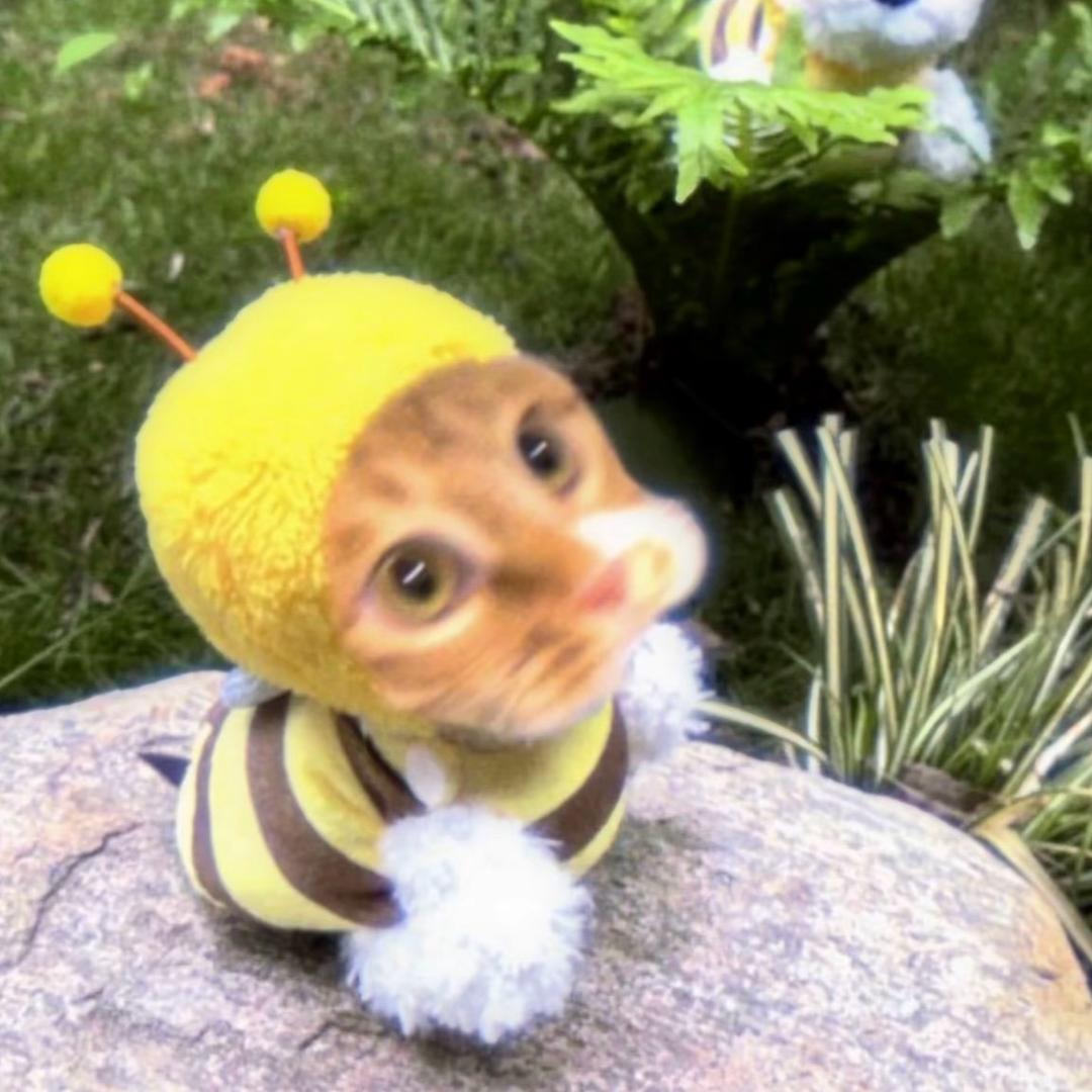林才不是蜜蜂喵🐝