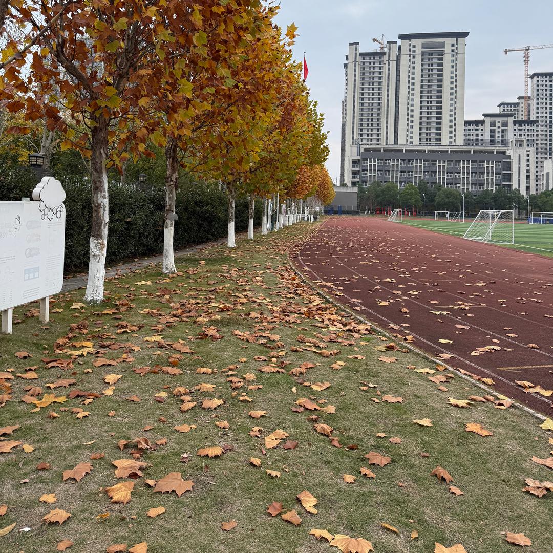 查理与劳拉Daddy