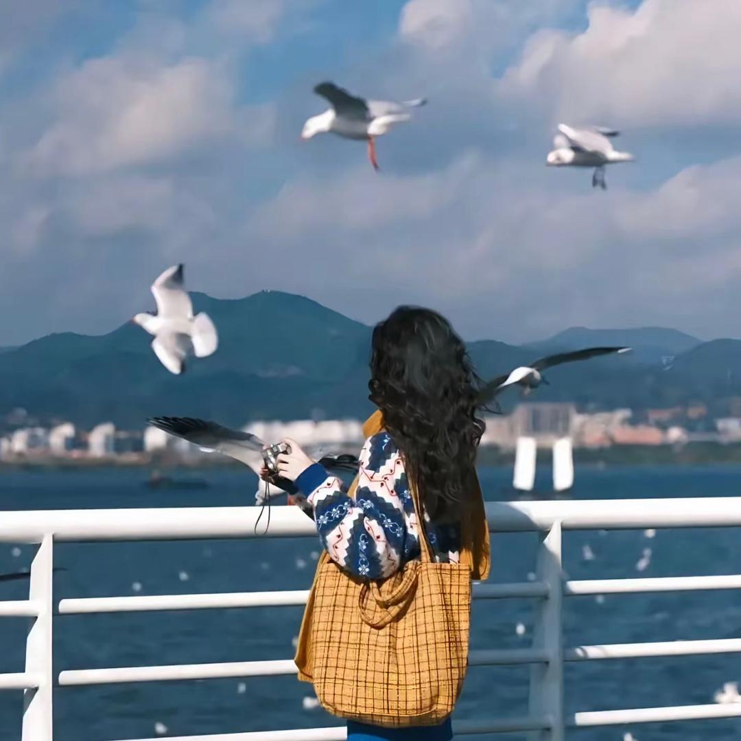 海南金融周经理