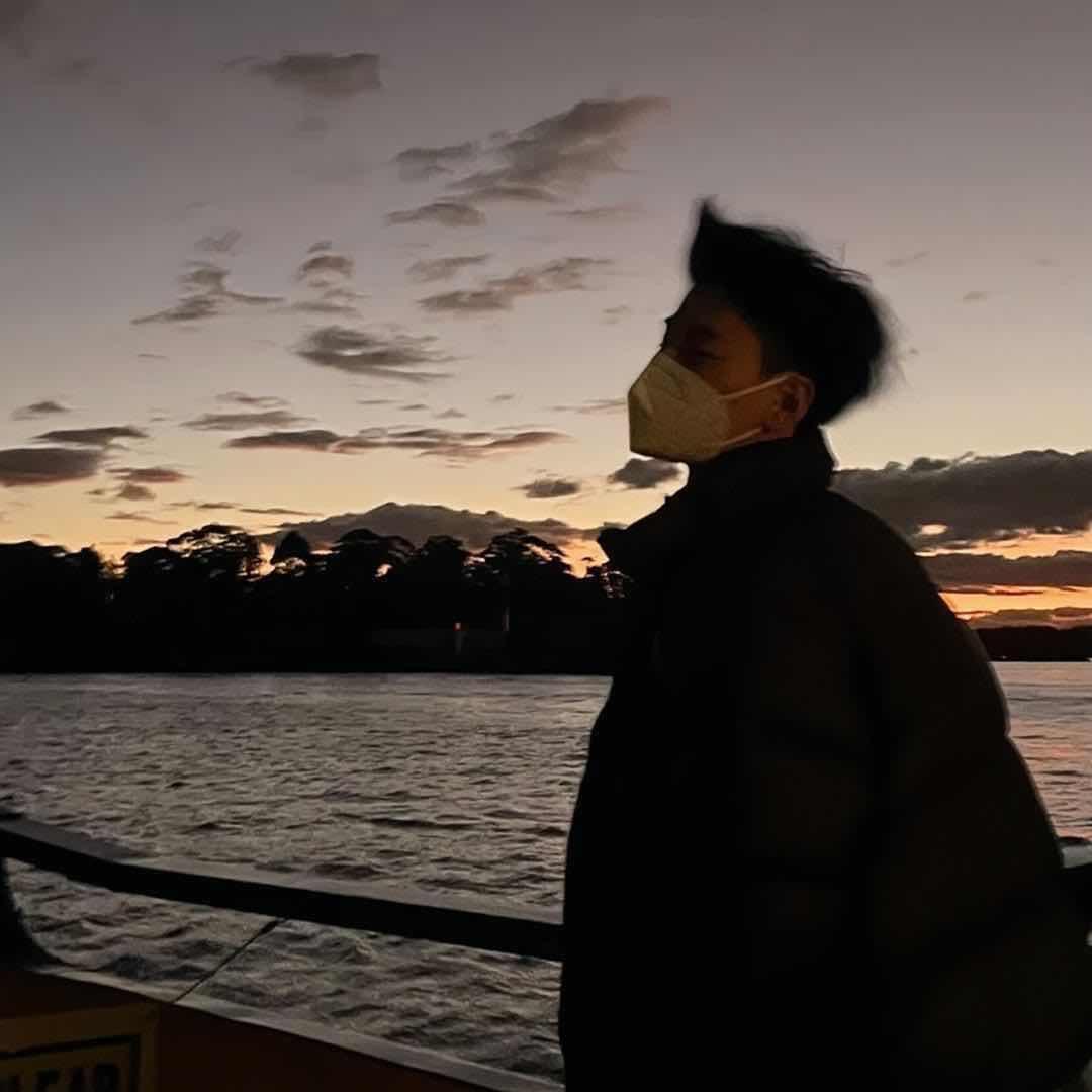 鲸