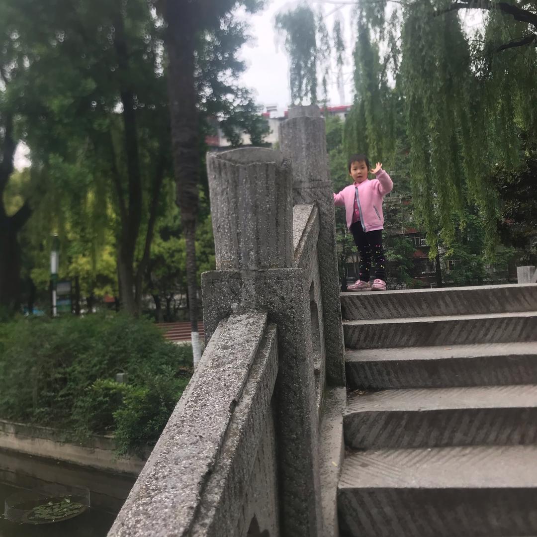 岑岑向上