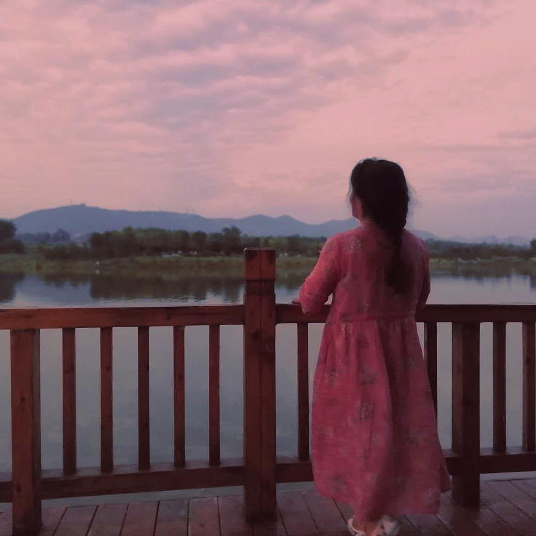 哈尼