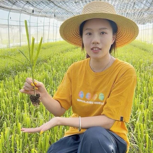 组培甘蔗苗批发