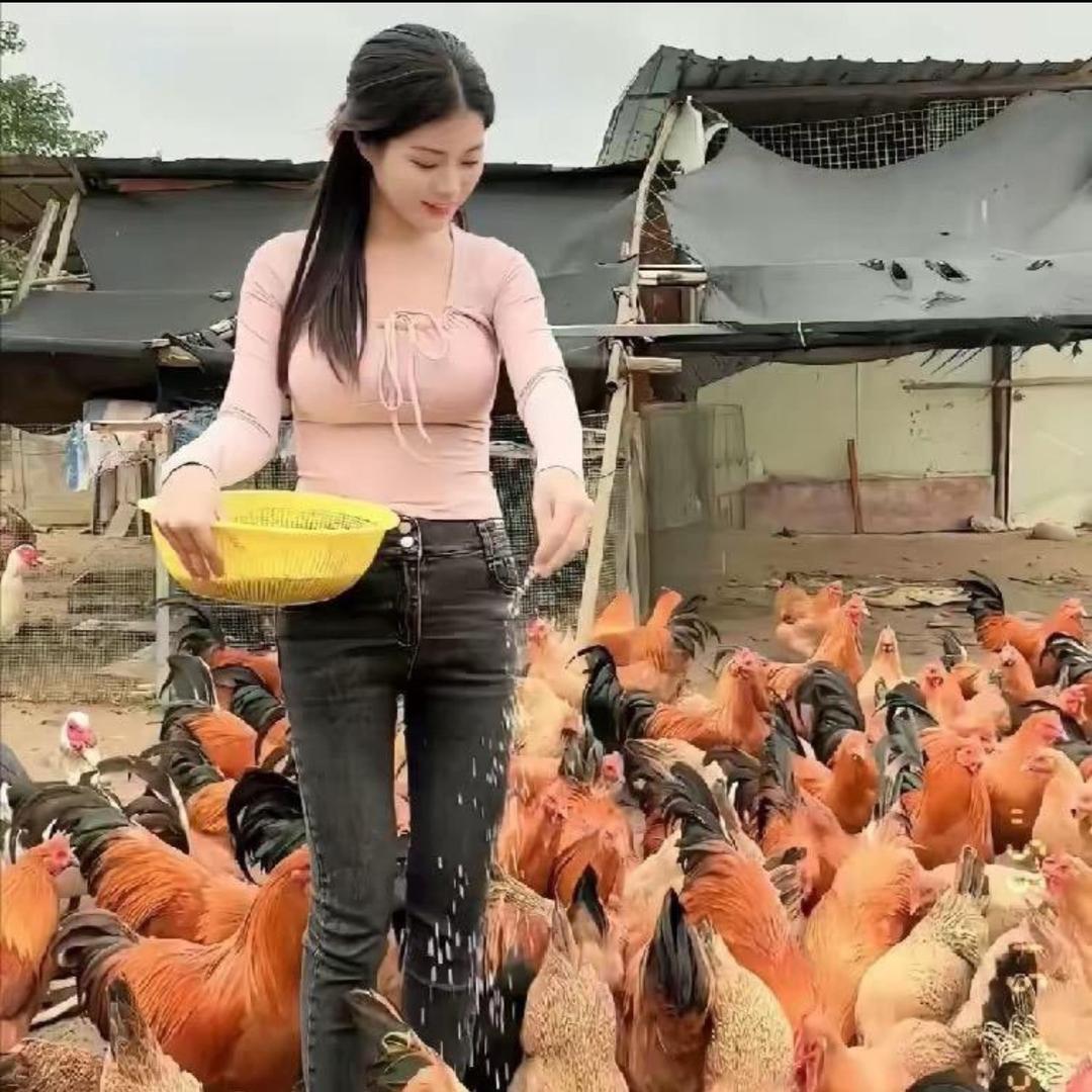 新农人养殖员👩‍🏫