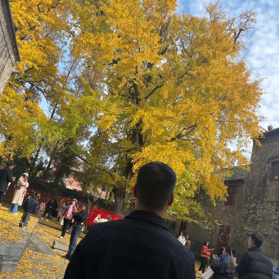 梦醒时分☘️