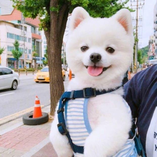 🌈开心🌈玩玩🌸