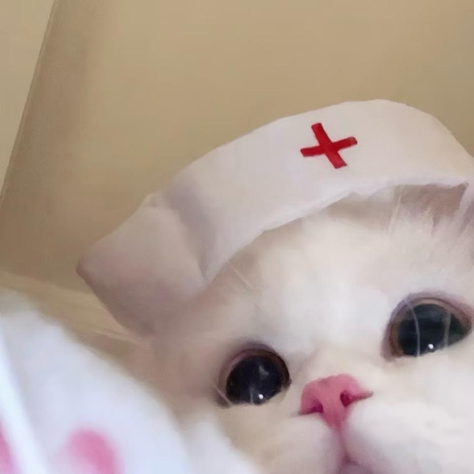 纯棉小猫