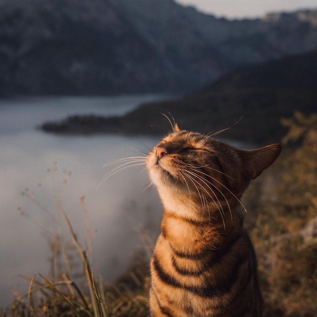 依心而行♡ ．·°