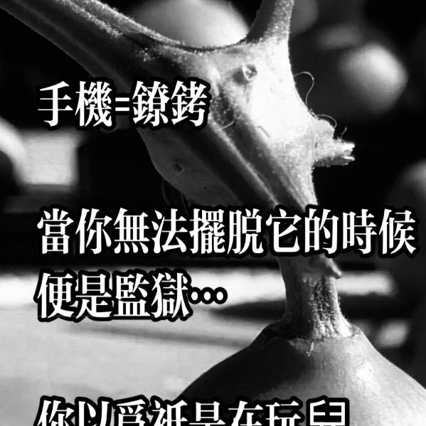 自律