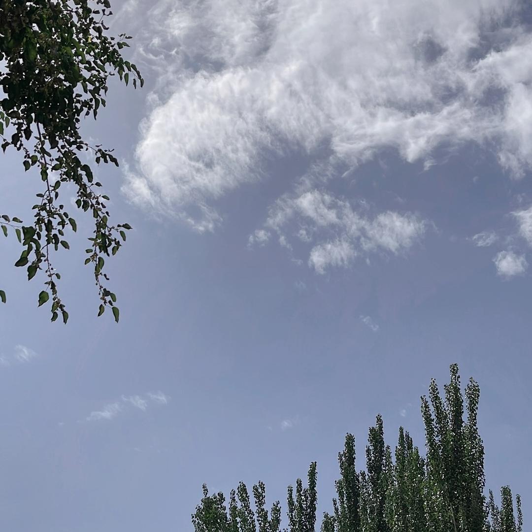 努力为自己的家庭