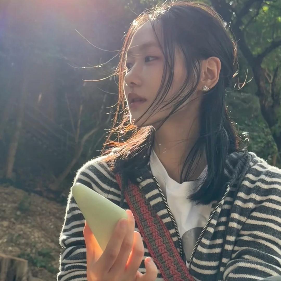云木遮
