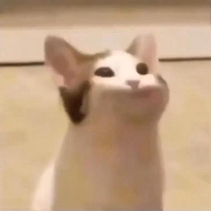 优雅狗头🅴