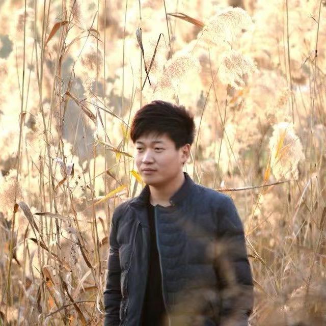 元宝¥