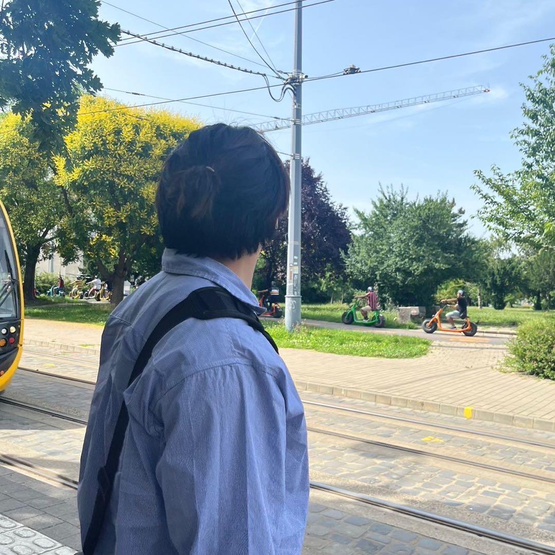 小杨小杨爱吃肥羊
