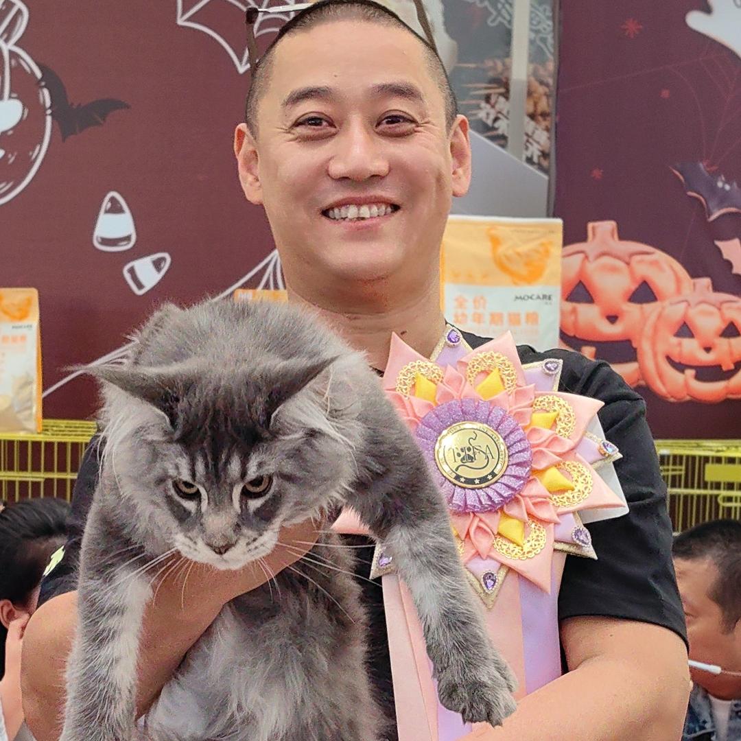 大猫二哈