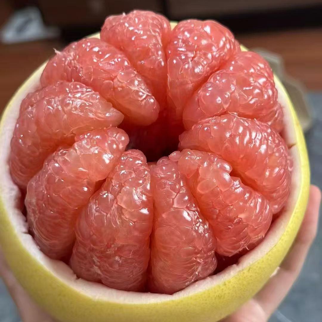 平和杂母人(小婷)