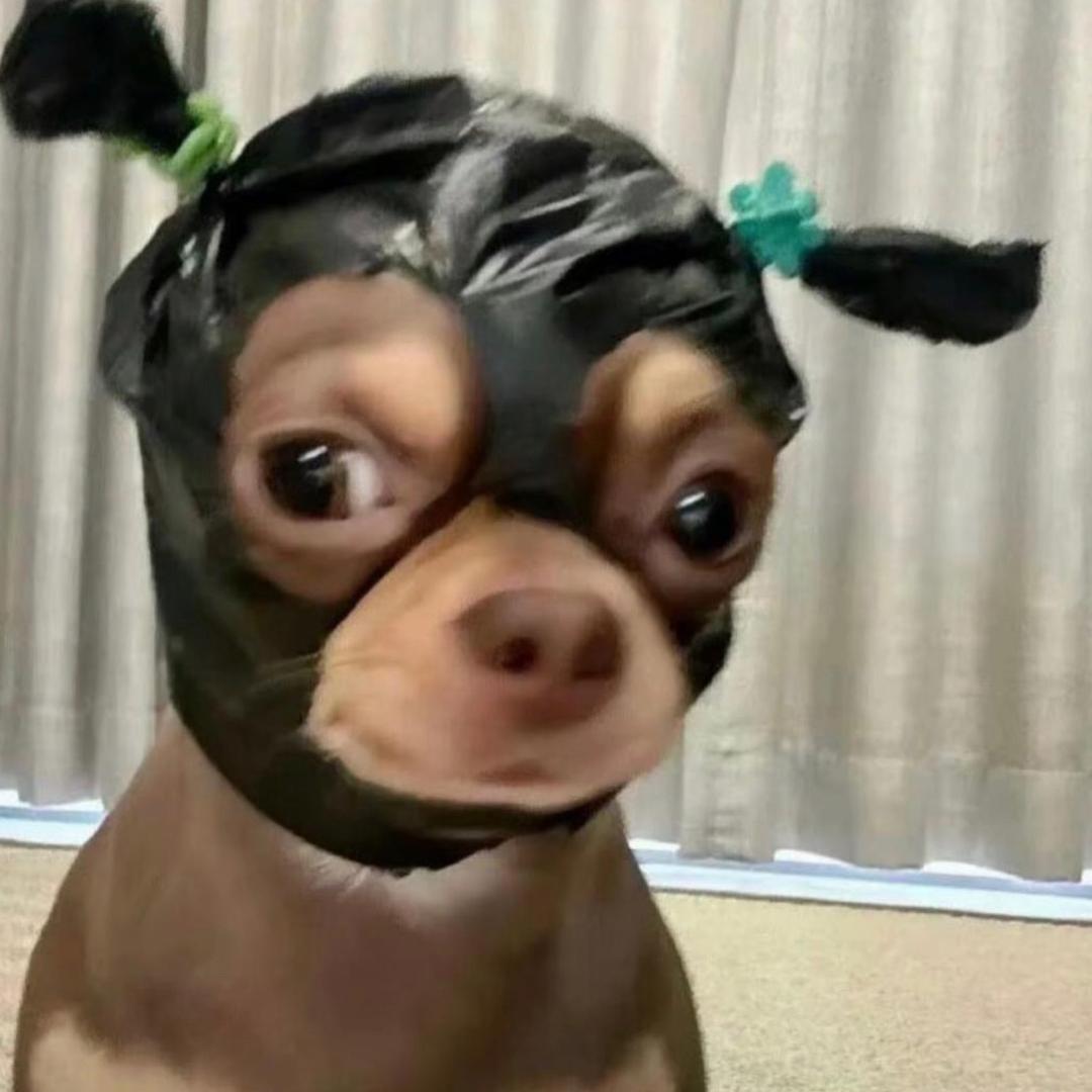 1111