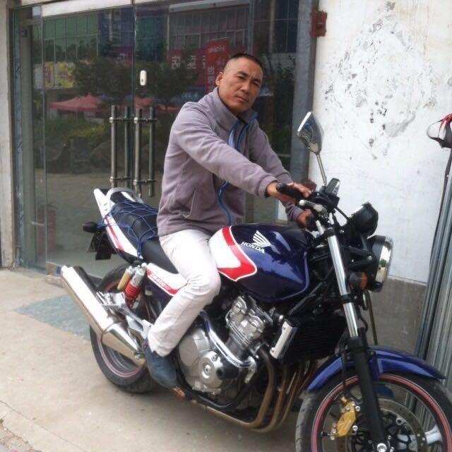 苏北连冠赛鸽