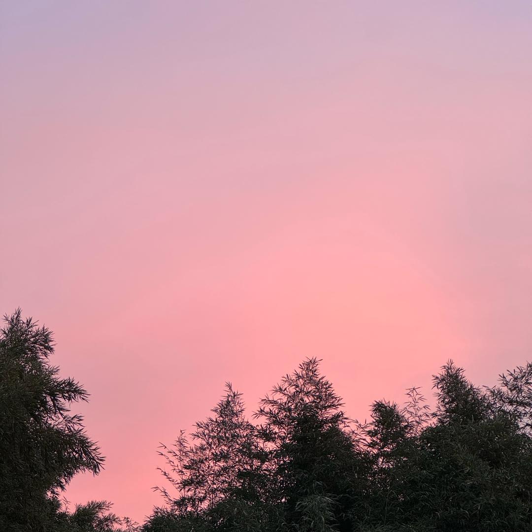 。..