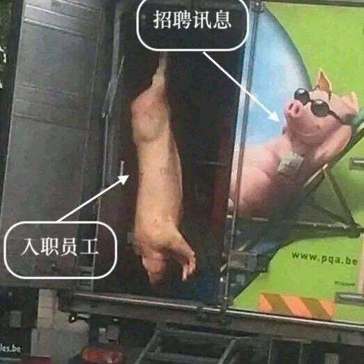 保险防坑指南🕳️