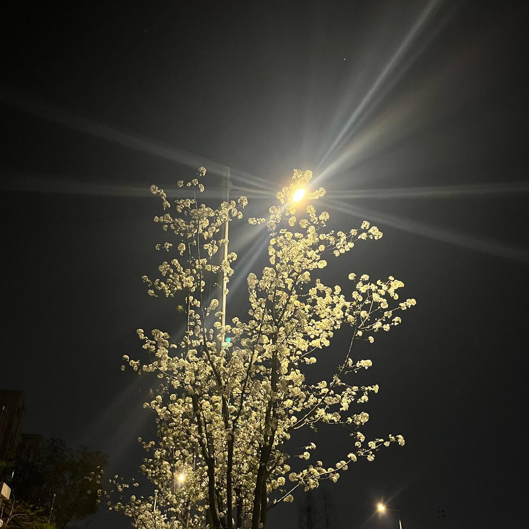 盒子的不息zzz