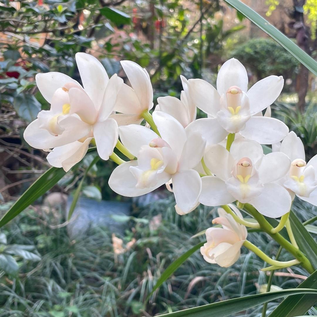 小梓好物优选
