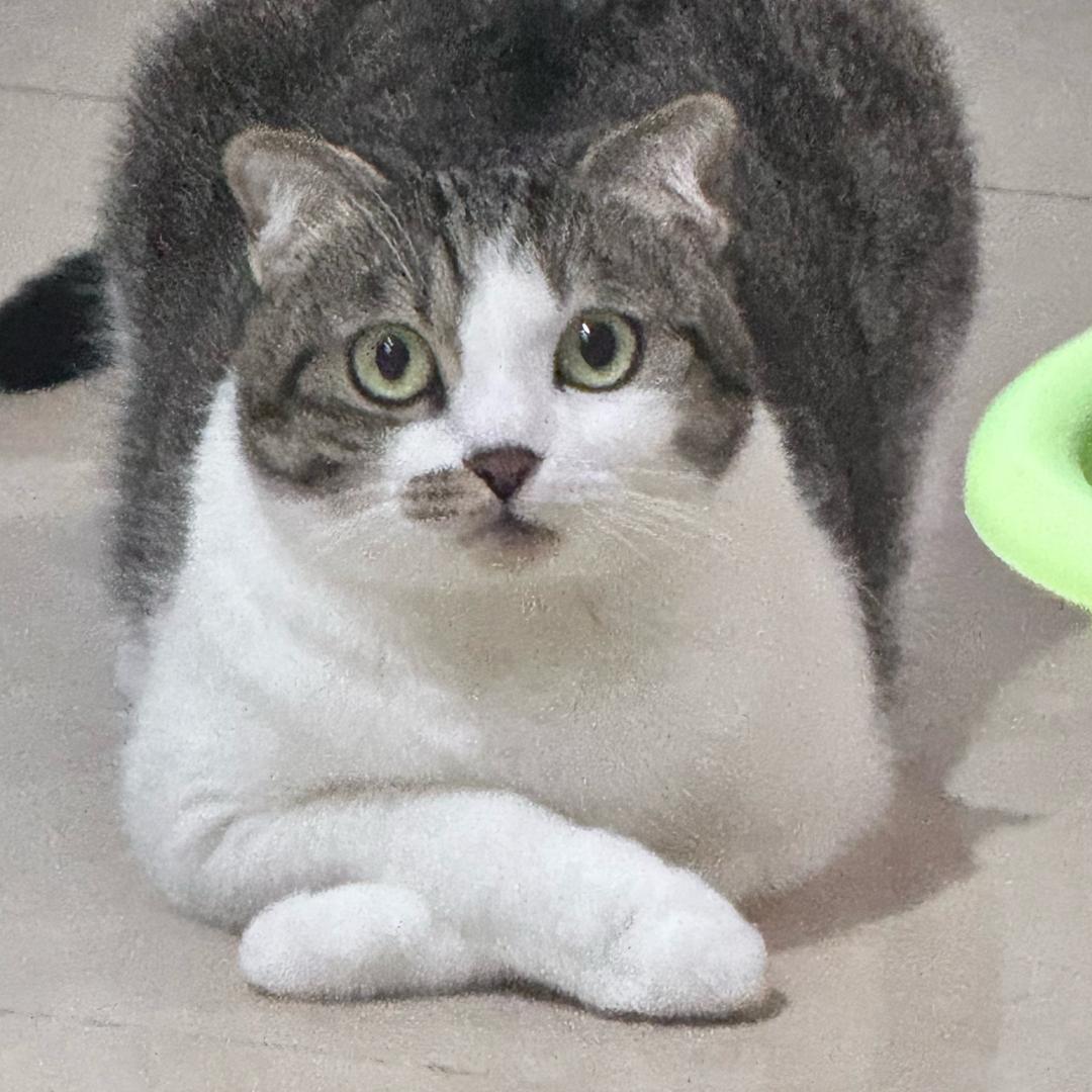 林火