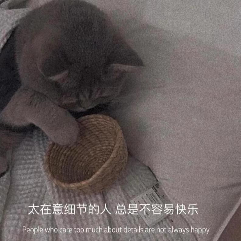 弎    歲 ！
