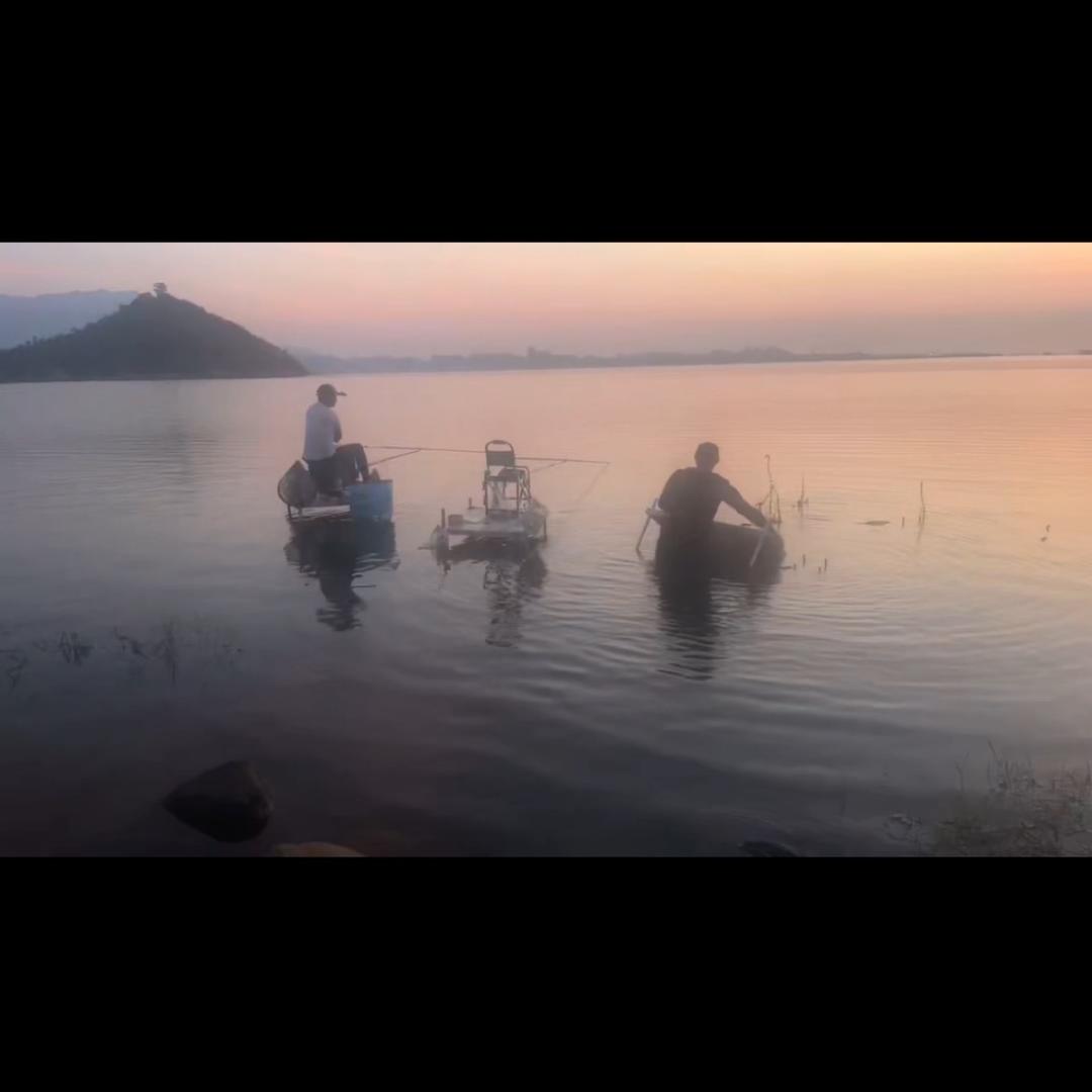 华仔−刚粉闽城鲢鳙战队