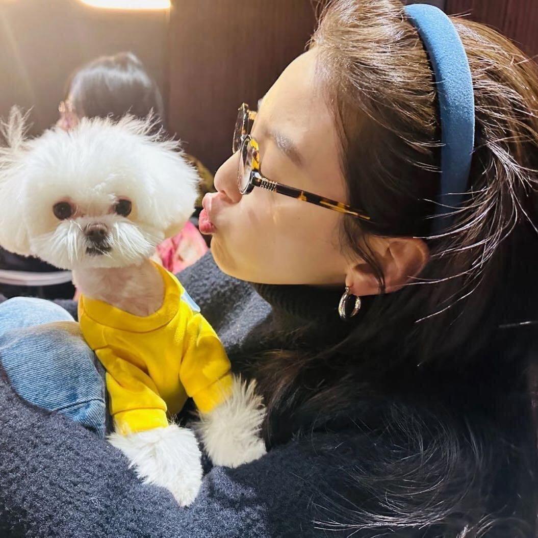 真的有点想发疯.