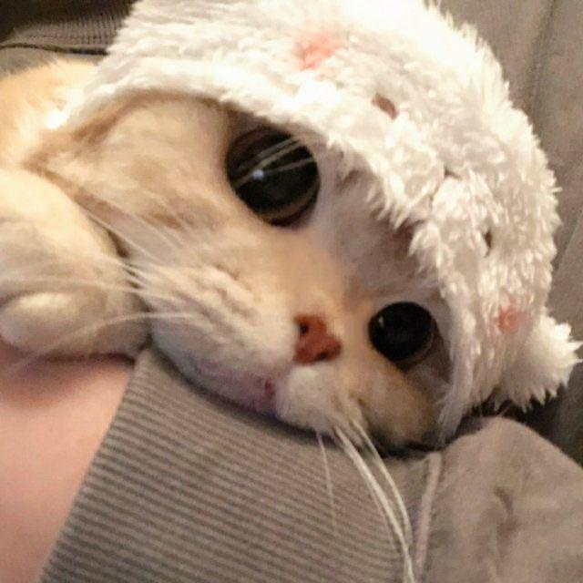小格